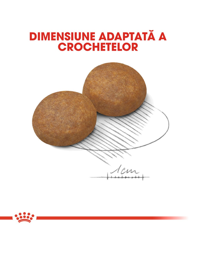 Royal Canin Maxi 5+ Adult hrana uscata caine intre 5 si 8 ani, 15 kg