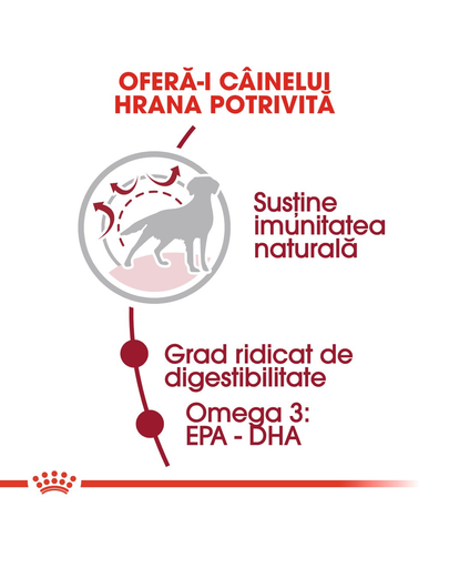 ROYAL CANIN Medium Adult hrana uscata caine, 4 kg