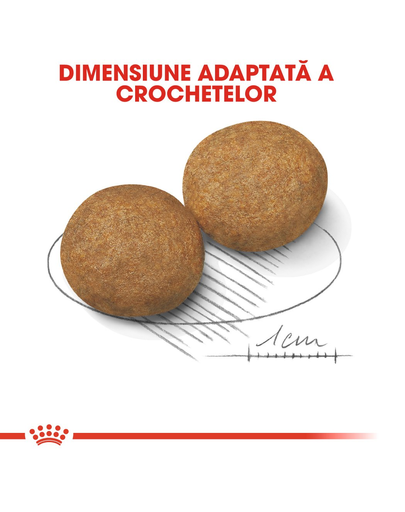 ROYAL CANIN Medium Adult hrana uscata caine, 4 kg