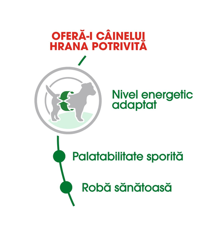 Royal Canin Mini Adult hrana uscata caini adulti de talie mica 800 g