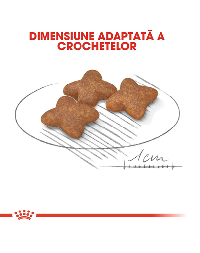 Royal Canin Mini Adult hrana uscata caini adulti de talie mica 800 g