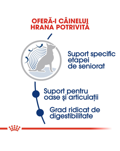 Royal Canin Maxi Ageing 8+ hrana uscata caine peste 8 ani, cu pasare 15 kg