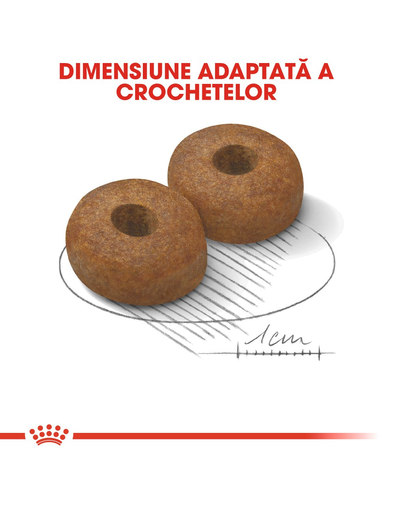 Royal Canin Maxi Ageing 8+ hrana uscata caine peste 8 ani, cu pasare 15 kg