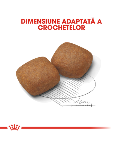 Royal Canin Giant Junior Hrană Uscată Câine 15 kg + 3 kg