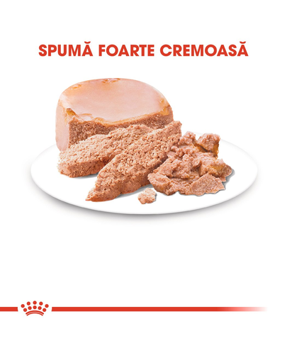 Royal Canin Starter Mother & Babydog Hrană Umedă Câine 195 g PACHET 12 bucăți