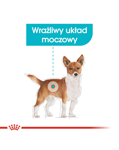 Royal Canin Mini Urinary Care hrana uscata caine pentru sanatatea tractului urinar, 3 kg