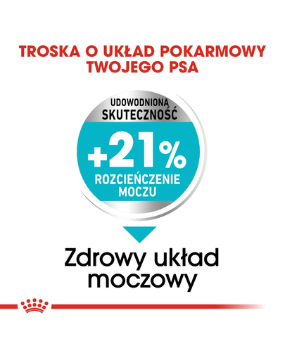 Royal Canin Mini Urinary Care hrana uscata caine pentru sanatatea tractului urinar, 3 kg