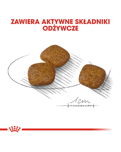 Royal Canin Mini Urinary Care hrana uscata caine pentru sanatatea tractului urinar, 3 kg