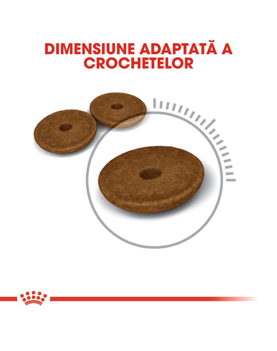 Royal Canin Digestive Care Adult hrana uscata pisica pentru confort digestiv, 4 kg