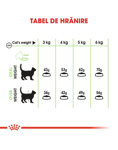 Royal Canin Digestive Care Adult hrana uscata pisica pentru confort digestiv, 4 kg