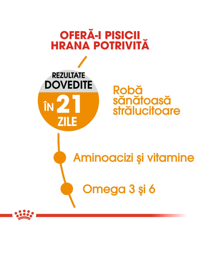 Royal Canin Hair&Skin Care Adult hrana uscata pisica pentru piele si blana, 4 kg