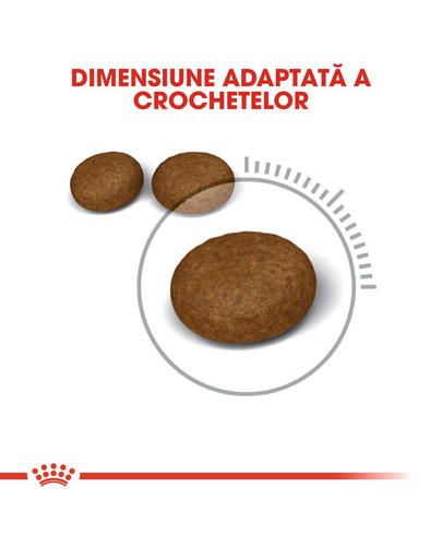 Royal Canin Hair&Skin Care Adult hrana uscata pisica pentru piele si blana, 4 kg