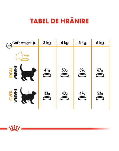 Royal Canin Hair&Skin Care Adult hrana uscata pisica pentru piele si blana, 4 kg