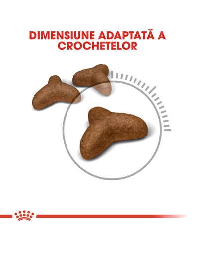 Royal Canin Light Weight Care Adult hrana uscata pisica limitarea cresterii in greutate,10 kg