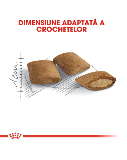 Royal Canin Ageing 12 + hrana uscata pisica senior, 400 g