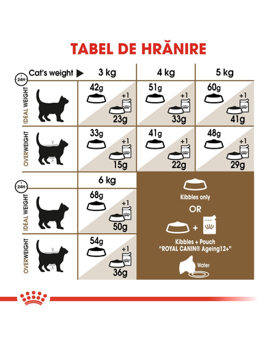 Royal Canin Ageing 12 + hrana uscata pisica senior, 400 g