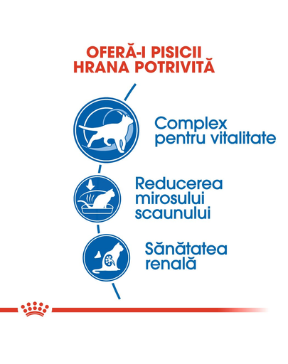 Royal Canin Indoor 7+ Hrana uscata pentru pisici de interior, 7 si 12 ani 400g