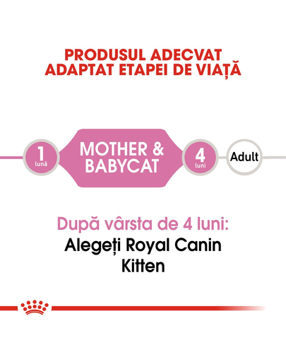 Royal Canin Mother & BabyCat hrana umeda pisica mama si puii pana la 4 luni, 195 g