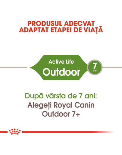 ROYAL CANIN Outdoor 30 hrana uscata pentru pisicile adulte care ies afara 2 kg