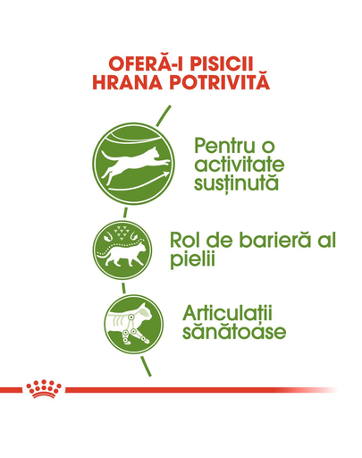 ROYAL CANIN Outdoor 30 hrana uscata pentru pisicile adulte care ies afara 4 kg