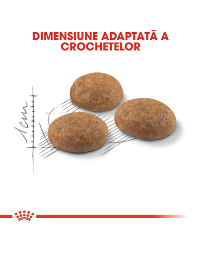 ROYAL CANIN Outdoor 30 hrana uscata pentru pisicile adulte care ies afara 2 kg