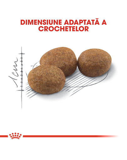 Royal Canin Sterilised Adult hrana uscata pisica sterilizata, 400 g