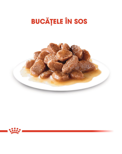 Royal Canin Instinctive In Gravy Adult hrana umeda in sos pentru pisica, 85 g