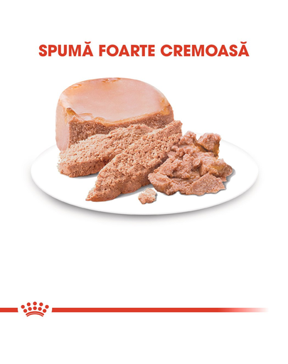 Royal Canin Mother & BabyCat hrana umeda pisica mama si puii pana la 4 luni, 195 g