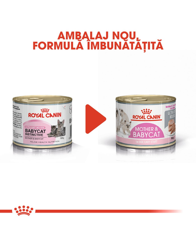 Royal Canin Mother & Babycat Hrană Umedă Pisică 12 x 195 g
