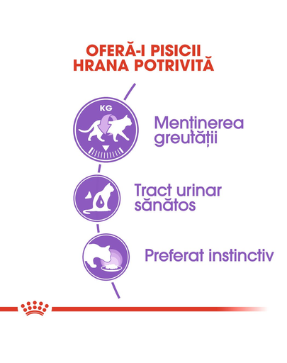 Royal Canin Sterilised Loaf Adult hrana umeda pate pentru pisica sterilizata, 12 x 85 g