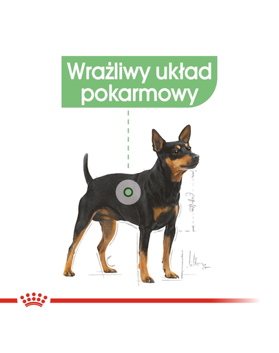 Royal Canin Digestive Care Adult hrana umeda caine pentru confort digestiv, 12 x 85 g