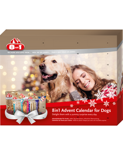 8IN1 Calendar Advent cu recompense pentru caini