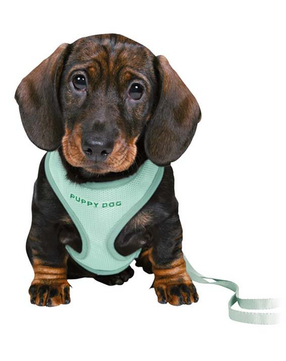 TRIXIE Junior Ham pentru catelusi, cu lesa 26–34 cm/10 mm, 2.00 m, culoare menta