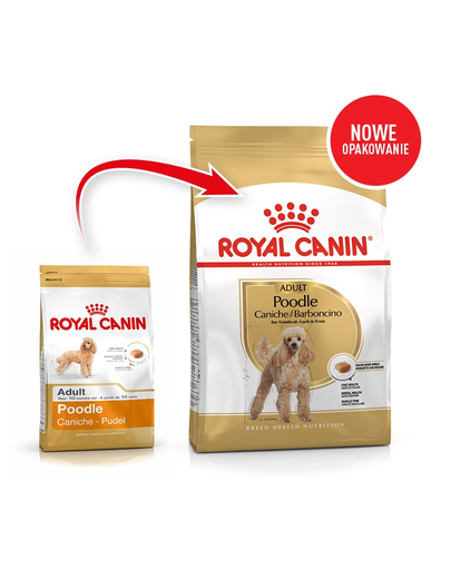 Royal Canin Poodle Adult Hrană Uscată Câine 500g