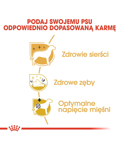 Royal Canin Poodle Adult Hrană Uscată Câine 500g