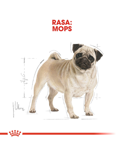 ROYAL CANIN Pug Adult Hrană Uscată Câine 3 kg