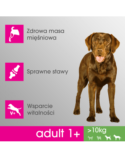 PERFECT FIT Perfect Fit Hrană uscată pentru rase de talie medie și mare Pui 2.6kgx3