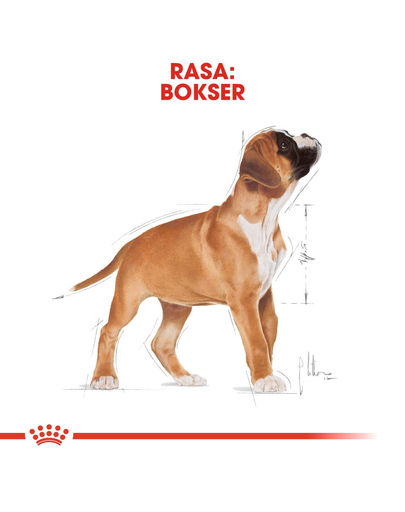 ROYAL CANIN Boxer Junior 3 kg