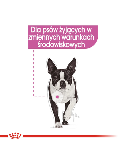 ROYAL CANIN Relax Care Hrana umedă pate, pentru câinii adulți expuși la stres,12 plicuri x 85 g