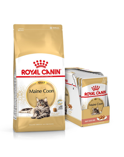 ROYAL CANIN Hrana uscata pentru pisici adulte rasa Maine Coon 10 kg + hrana umeda Mainecoon 12x85 g