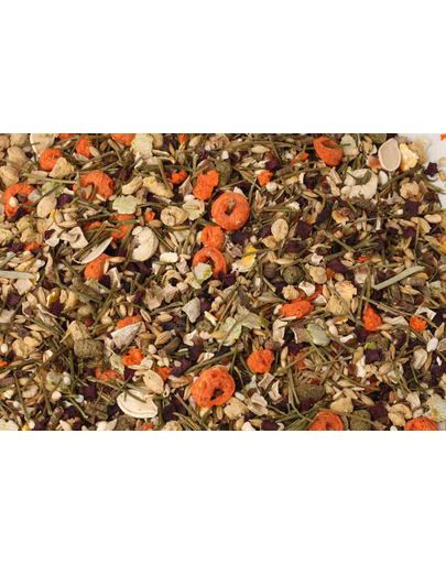 MEGAN Hrana naturala pentru veverita degus 3l /1200g
