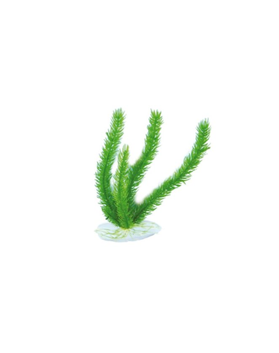 AQUAEL Plantă de plastic Ap-048 8" (20Cm)
