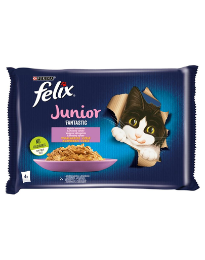 FELIX FANTASTIC Junior hrana umeda pentru pisoi, cu pui si somon in jeleu 48x85g