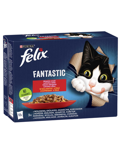 FELIX FANTASTIC Hrana umeda in jeleu pentru pisici adulte 72x85g