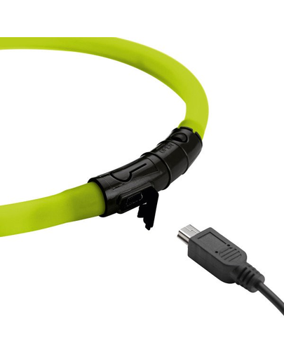 HUNTER LED Yukon Zgarda cu led pentru caini 20-70cm, lime