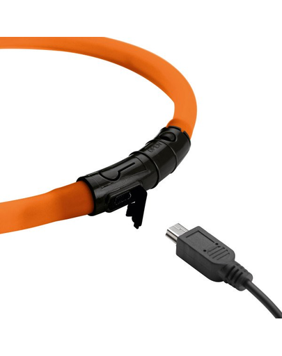 HUNTER LED Yukon Zgarda cu led pentru caini 20-70cm, portocaliu