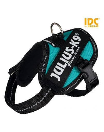 TRIXIE Ham pentru caini Julius-K9 IDC Mini-Mini/S: 40–53 cm/22 mm, petrol