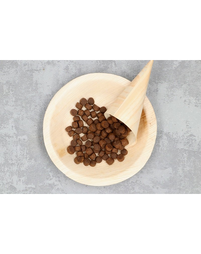 Country&Nature Lamb&Turkey Hrana uscata caini adulti talie mica/mijlocie, miel si curcan 3 kg