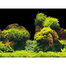 AQUA NOVA Fundal acvariu fata-verso, marime S, 60x30cm, roci / plante