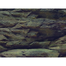 AQUA NOVA Fundal acvariu fata-verso, marime S, 60x30cm, roci / plante